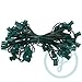 C9 Light String, 100' Length, 12" Spacing, Green Wire