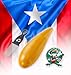Puerto Rico Music Guiro Instrument with Scraper – Traditional Puerto Rican Latin Percussion for Parranda, Salsa & Celebration Boricua – Plastic Güiro for All