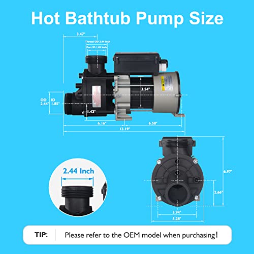 Image of Bath Pump & Hot Tub Bath Pump - LX Bath Pump 110V - 120V, 1.5 inch Port (WCH100)