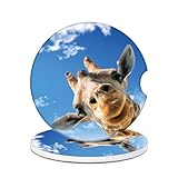 Cup Holders Car Coasters - Cute Giraffe Absorbent Ceramic Coaster, Drink Cup Holder Coasters, Auto Accessories for Women & Men, Pack of 2