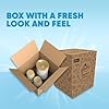 Glade Automatic Spray Refill and Holder Kit, Air Freshener for Home and Bathroom, Clean Linen, 6.2 Oz, 2 Count #2
