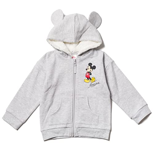 Disney Mickey Mouse Minnie Mouse Lion King Simba Fleece Zip Up Hoodie Newborn to Toddler