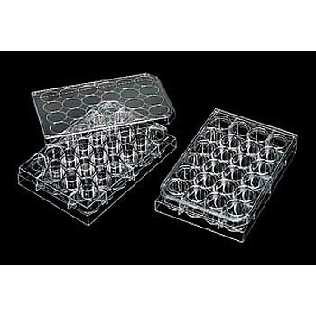 Microplate, Large (24 Wells), Pack Of 10