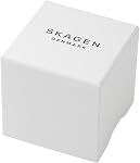 Skagen Men's Holst Quartz Analog Stainless Steel and Stainless Steel Mesh Watch, Color: Gunmetal Steel Mesh
