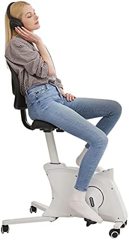 desk bike chair