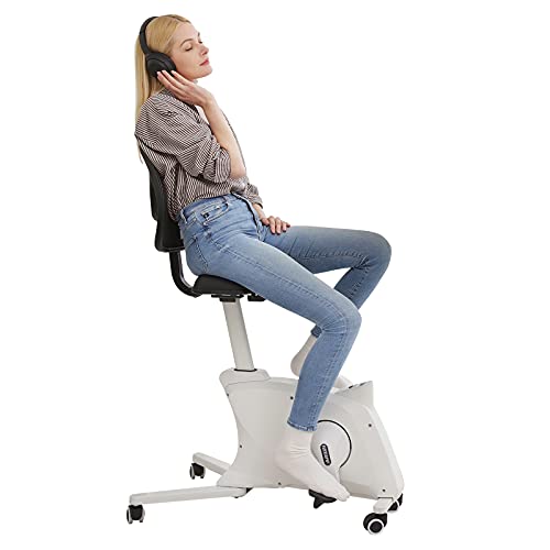 FLEXISPOT Sit2Go Bike Without Desk