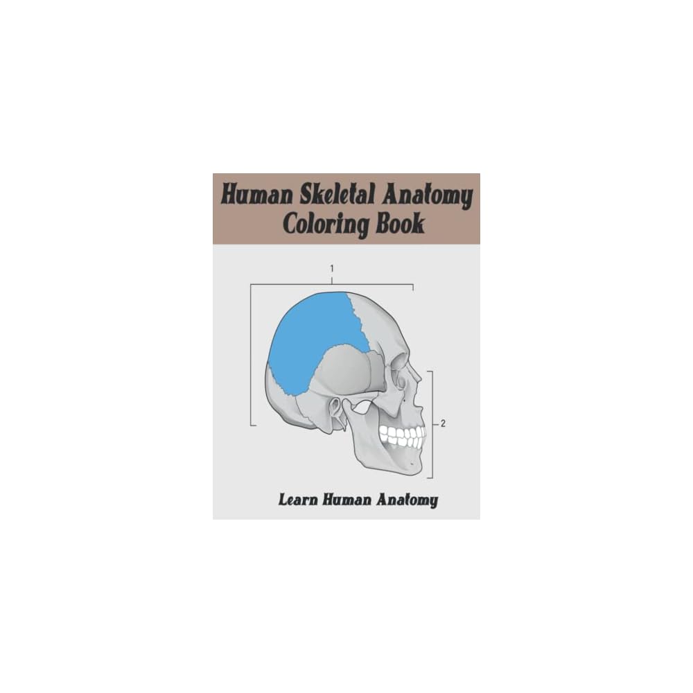 Buy Human Skeletal Anatomy Coloring Book Learn Human Bones Anatomy for