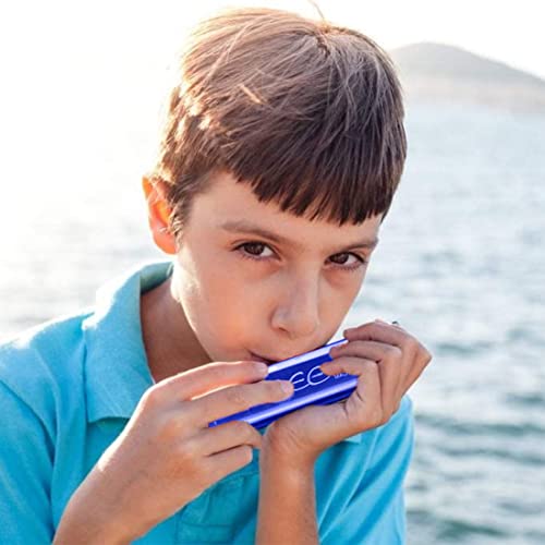Harmonica, Harmonica Débutant, Harmonica Diatonique, Harmonica Professionnel, Harmonica Enfants, pour Débutants,Enfants… - Les Beatles, Paul McCartney, John Lennon, RIngo Starr, George Harrison Harmonica, Harmonica Débutant, Harmonica Diatonique, Harmonica Professionnel, Harmonica Enfants, pour Débutants,Enfants… – Image 7