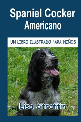  SPANIEL COCKER AMERICANO