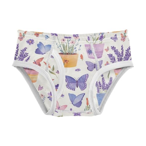 Wusikd Butterflies Lavender Boys' Underwear Cotton Flower Pots Boys Briefs Soft Toddler Underwear 2T