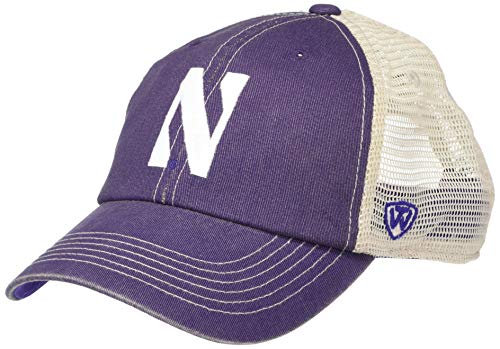 Top of the World NCAA Northwestern Wildcats Mens Adjustable Vintage Team Icon hat, Northwestern Wildcats Purple, One Size