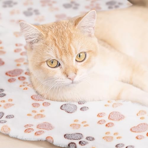 Cobertor de lã macio e quente para animais de estimação, almofada de cama, hamster, porquinho-da-índ