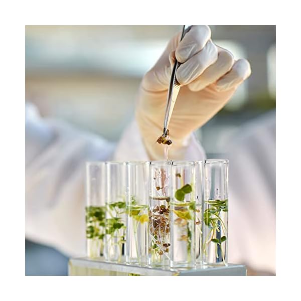 SUPERLELE-18pcs-Glass-Test-Tube-25120mm-Clear-Flat-Test-Tubes-with-Cork-Stoppers-for-Plants-Propagation-Scientific-Experiments-Bath-Salt-and-Candy-Storage SUPERLELE-18pcs-Glass-Test-Tube-25120mm-Clear-Flat-Test-Tubes-with-Cork-Stoppers-for-Plants-Propagation-Scientific-Experiments-Bath-Salt-and-Candy-Storage