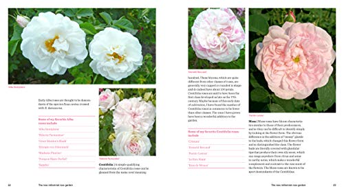 Roses Without Chemicals: 150 Disease-Free Varieties That Will Change The Way You Grow Roses #TOP6