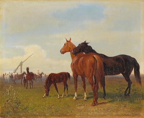 Impression Tableaux Graffiti Art Mural Chevaux salon moderne