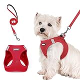 gilet de course rouge Ensemble Harnais pour Chien avec Laisse : Ce pack comprend un harnais et une laisse assortis de 156 cm. Équipée de bandes réfléchissantes, d'un clip pivotant à 360° et d'une poignée confortable, cette laisse allie élégance et praticité, améliorant la sécurité de votre toutou lors des promenades