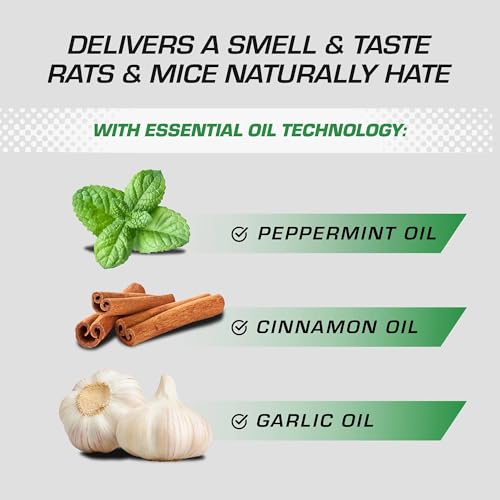 Image of Tomcat Repellents Rodent Repellent Ready-to-Use with Comfort Wand - For Indoor and Outdoor Mouse and Rat Prevention, Peppermint Oil Spray for Rodents with Cinnamon & Garlic Essential Oils, 1 gal.
