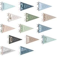 VitalCozy 14 Pcs Baby Milestone Pennant Signs Monthly Milestone Banner Flags Pennant Triangle Banner Age Flag Signs for Boy Girl Newborn Birthday Party DecorOcean Color