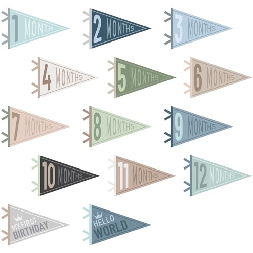 Image of VitalCozy 14 Pcs Baby Milestone Pennant Signs Monthly Milestone Banner Flags Pennant Triangle Banner Age Flag Signs for Boy Girl Newborn Birthday Party Decor(Ocean Color)