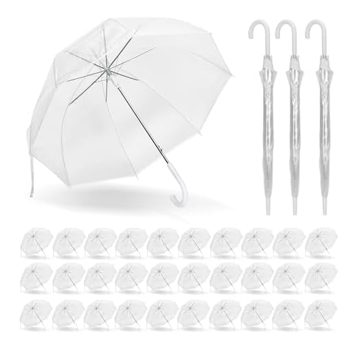 Large Clear Bubble Umbrellas for Events