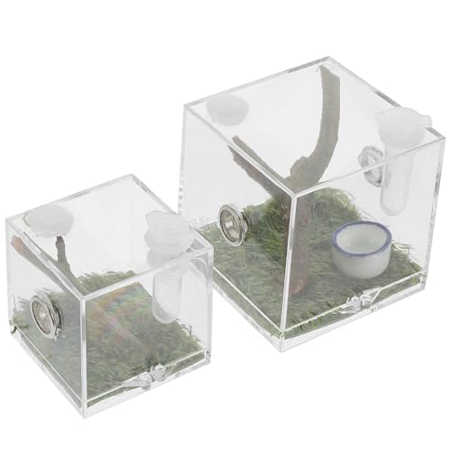 Mikikit ANWsO甠 ʋCEteE{bNX a ^ ঒ފώ@pP[X 2Zbg