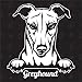 speedwerk-motorwear Greyhound Version 4 - Sticker, Aufkleber, Hundeaufkleber, Autoaufkleber, Hund, Auto, Hunderassen, Mischling, Mix, Tiere, Haustier (AUCH MIT Wunschname MÖGLICH)