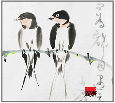 WENZHOU - Carta di riso in rotolo per pittura e