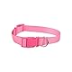 Robustes Halsband aus Edelstahl, wasserdicht, verstellbar, ideal für Spaziergänge und Training mit Haustieren.
