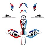 Resin Bike