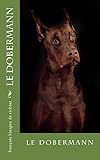 doberman a vendre oreille coupée  le dobermann