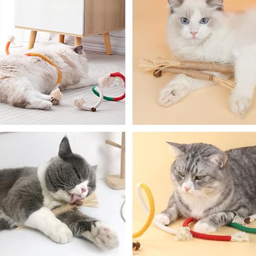 2 Stück Katzenminze Spielzeug – Interaktives Katzenspielzeug mit 2 Beißseilen und 4 Catnip Sticks – Fördert Katzen Zahnpflege und Selbstbeschäftigung – Perfekt für aktive Katzen, Katzenminze Stick.