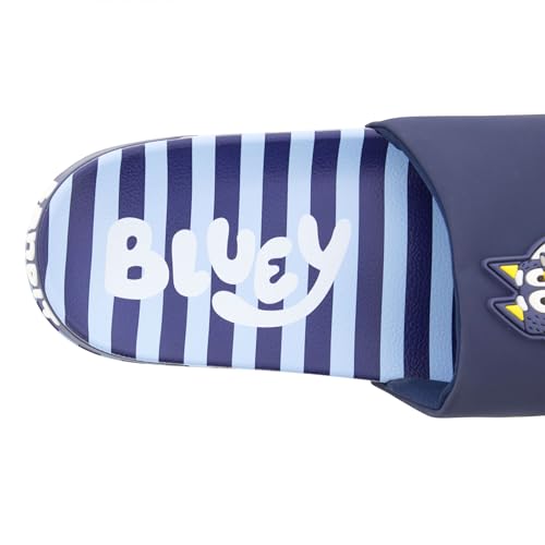 Ground Up Bluey Bandit Dad Adult Slide Sandals3