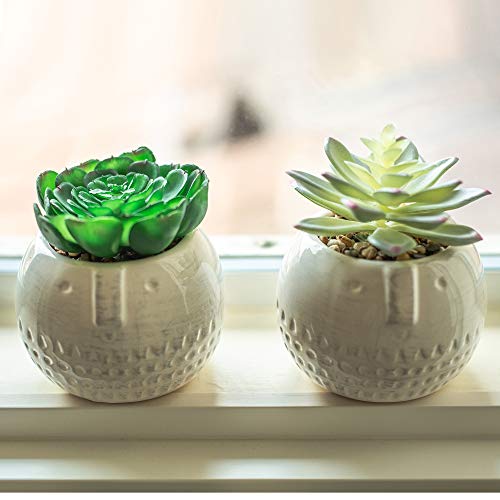 Flora Bunda Mid Century Artificial Plants Cactus Set Of 2 Artificial Succulent In Round Cool Face Ceramic Planter White Pot 4" W X 4" H Iinclude Potted Plant, For Home Office Decorations #TOP5