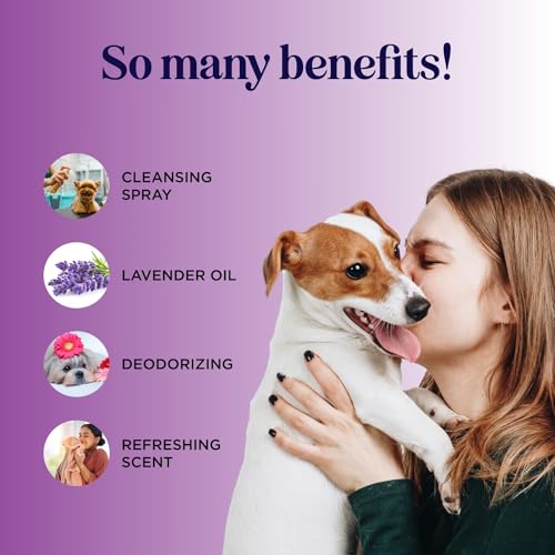 Lavender Oil Dog Deodorizing Spray - Dog Spray for Smelly Dogs and Puppies and Dog Calming Spray with Lavender Essential Oil - Lightly Scented Dog Deodorizer for Smelly Dogs and Dog Essentials