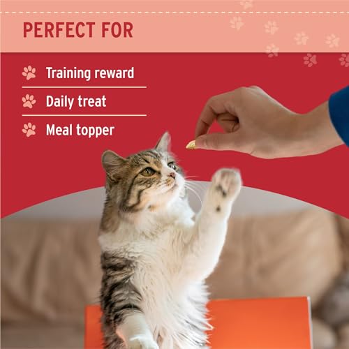 Image of Nutri Bites Freeze Dried Salmon Dog and Cat Treats, 14 oz
