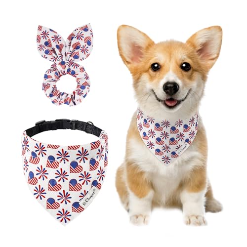 E-Clover 74̎ - AJ IȌ̎ o_i & }b`OVV ߉\Ȍp XS^p u[ bh