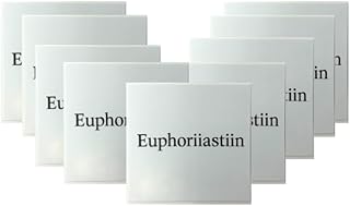 【10枚セット】Euphoriiastiin オリジナルステッカー