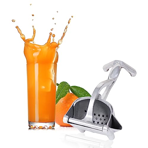 The 10 Best Juice Squeezer Reviews & Comparison Glory Cycles