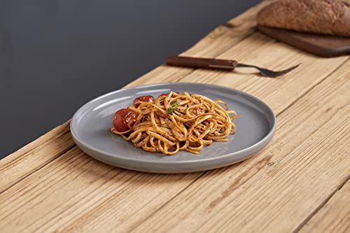 Famiware Dinner Plate, 10 Inch Plates For 4, Plate Set, Scratch Resistant, Stoneware Dinnerware, Kitchen Modern Rustic Serving Dishes, Dark Gray #TOP1