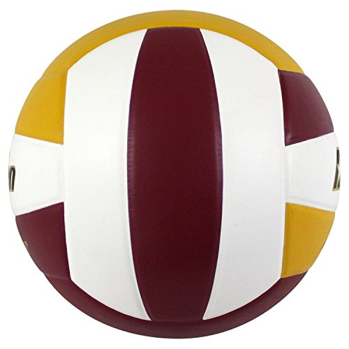 Image of Baden | Perfection | Premium Leather | Indoor Official Game Volleyball | 13U to College | Official Size + Weight | NFHS + AVCA Approved