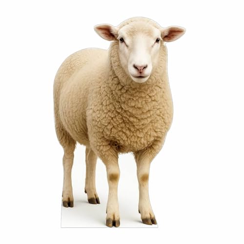Image of Sheep 2FT Life Size Cardboard Cutout - A Fun Animal Standup for Photo Booths, Birthday Parties, and Events