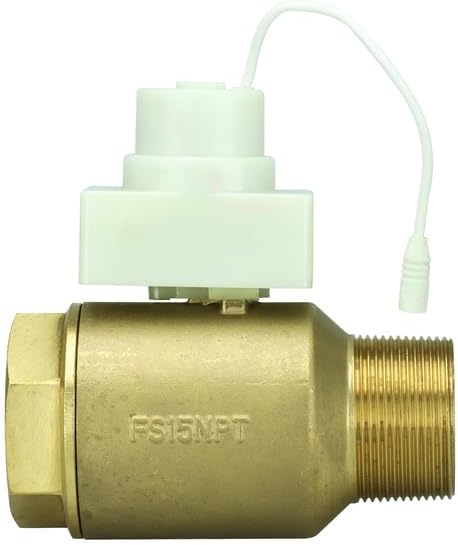FloodStop Water Heater Motorized Ball Valve, 1-1/4" NPT MIP x FIP