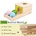 Adena Montessori Object Permanence Box with Tray Three Balls Montessori Toys for 6-12 Months Baby 1 Year Old Infant Toddler Typical