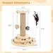Chewtoyo Cat Toy with Hanging Balls, Wooden Two-Tier Tracks Cat Scratching Post, Interactive Kitten Sisal Scratcher Toy for Indoor Cats and Kittens