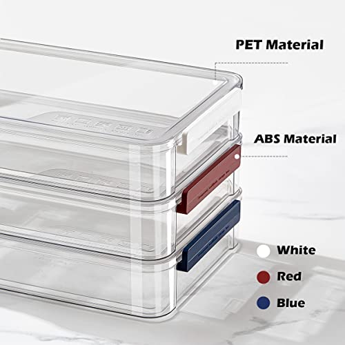 Comforhous 2 Pack Document Storage Clear Plastic Storage Boxes With Lids Stackable Storage Bins Paper Storage Box Containers For Organizing A4 File Paper, Document, Photo, Scrapbook Red #TOP4