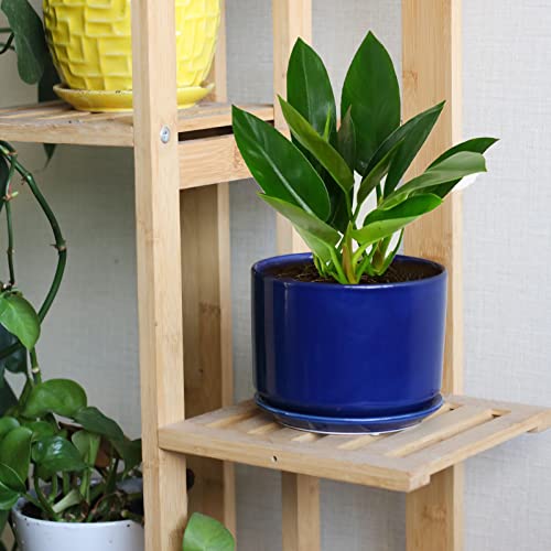 Efispss Ceramic Plant Pots, 4+5+6 Inch, White Round Ceramic Planters Set Of 3 Succulent Planters With Drainage Tray Plants… #TOP4