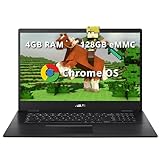 ASUS Chromebook CX1700 17.3 Renewed