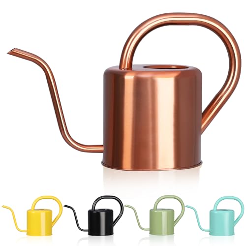 Watering Can Stainless Steel Watering Can for Indoor & Outdoor Plants 1L/35oz Long Spout Water Can with Handle Rust-Proof Plant Watering Pot for House Plants Garden Flowers