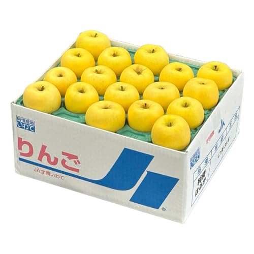  ͂邩 茧Y Gi 20`46 10kg ь S Mtg