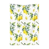 Lemon Blankets, Gift for Girls Fruit Lover, 40'x50' Soft Lightweight Plush Throw Blanket for Couch Bed Sofa Decoration